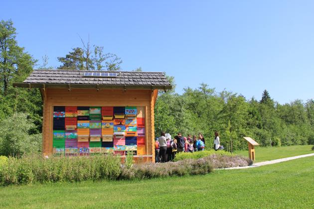 media image