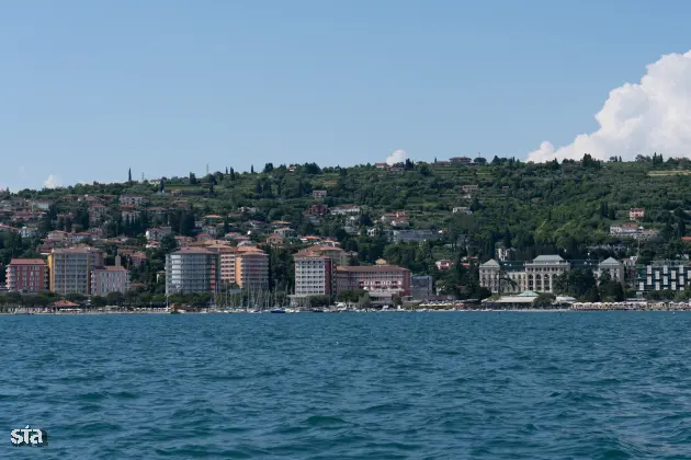 media image